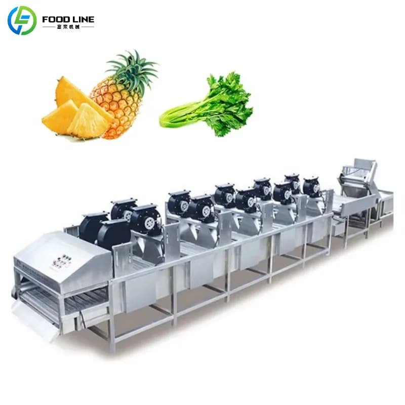 Custom Exporter for Commercial Drying of Fruit and Vegetables, High Efficiency Stainless Steel Device for Air Drying