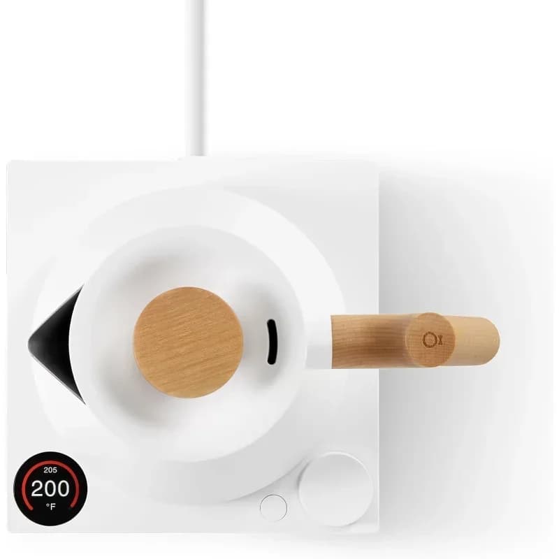 Electric kettle with precise temperature control, programming, great deal.