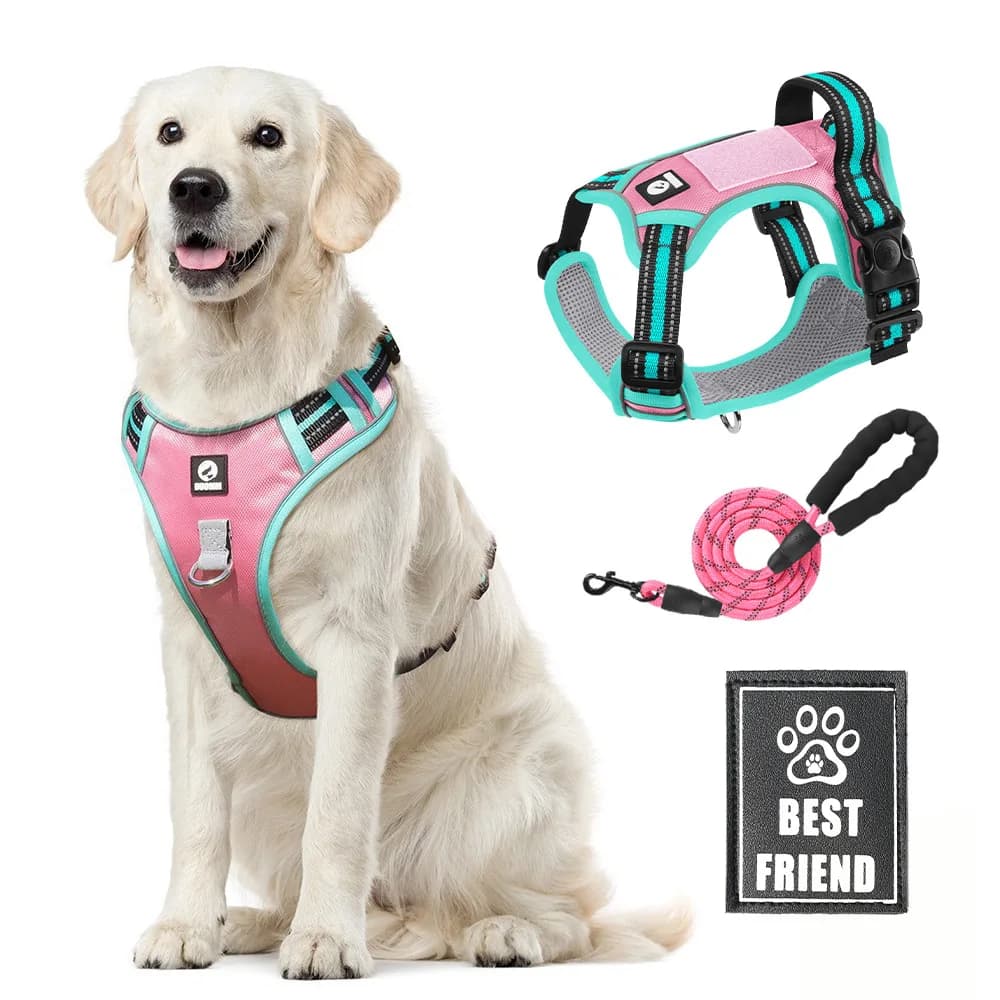 Guinzaglio per animali domestici Imbracatura per cani gilet Imbracatura per cani illuminata Imbracatura per cani regolabile Cintura di sicurezza per cani