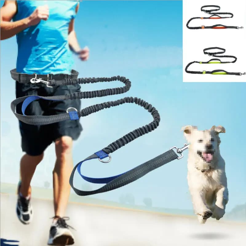 Reflective Spindle for Free Hands - Elastic Belt for Jogging with Metal D Ring