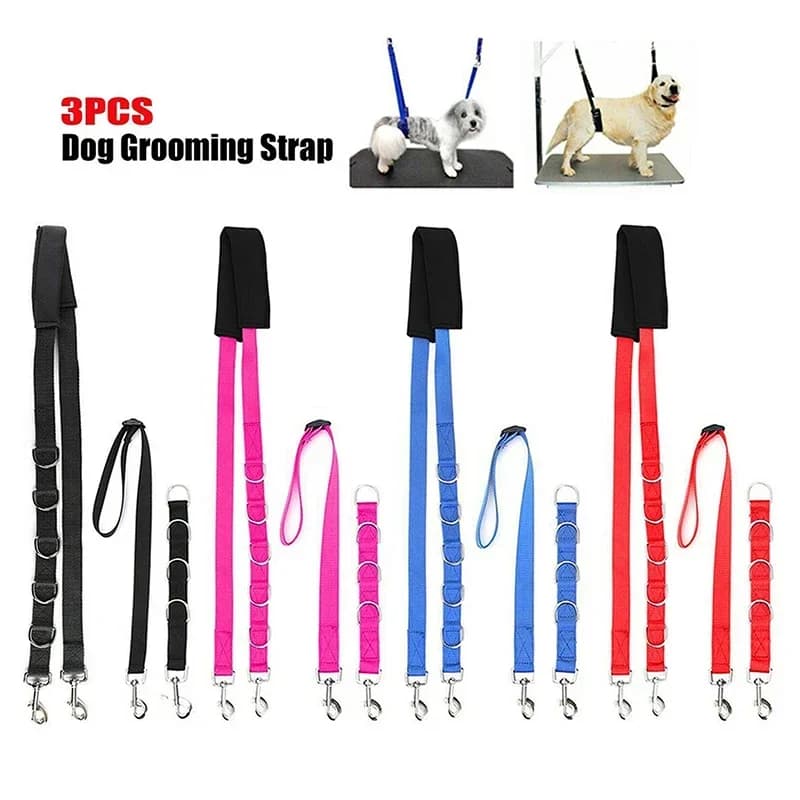 Cinghie di sicurezza regolabili per tavolo da toelettatura animali, fune di sicurezza per cani e gatti, anelli in nylon per toelettatura, noose di contenimento, accessori per animali domestici