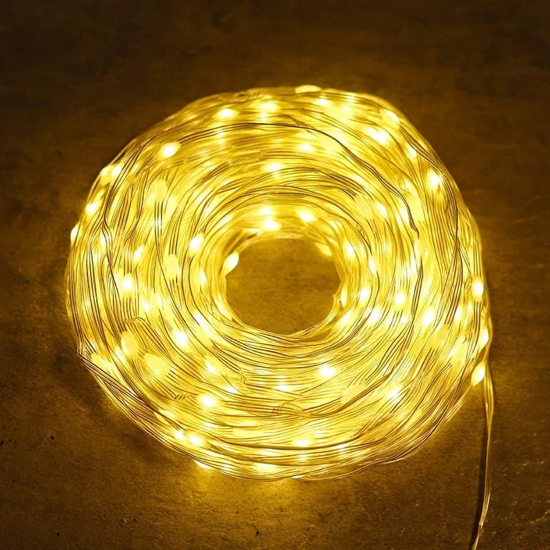 Ghirlanda Luminosa LED 100 Metri, Luci Natalizie a Filo, Lunghezza 30/50M, Spina EU, con Trasformatore 24V