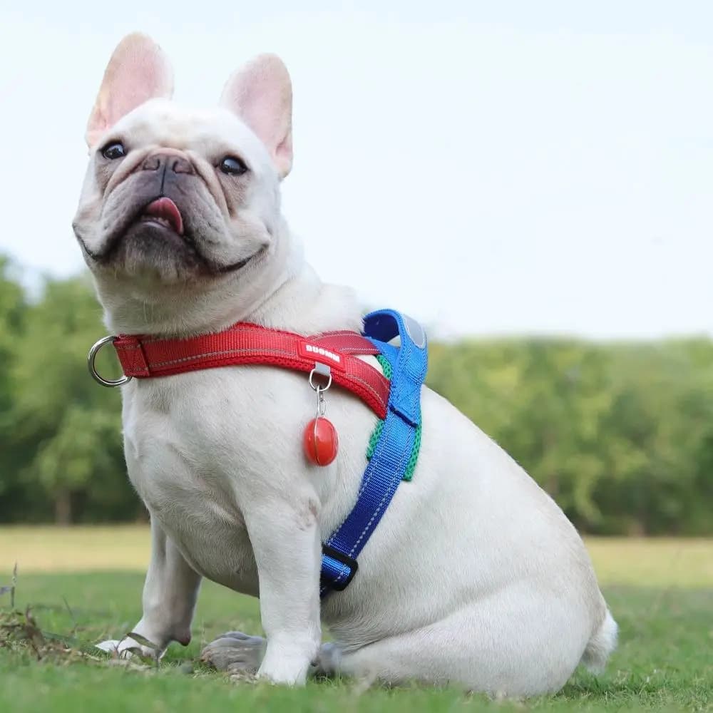 Adjustable Dog Harness Vest Reflective Comfortable Dog Chest Strap Explosion-proof Wear-resistant Pet Vest for Small Medium Dogs