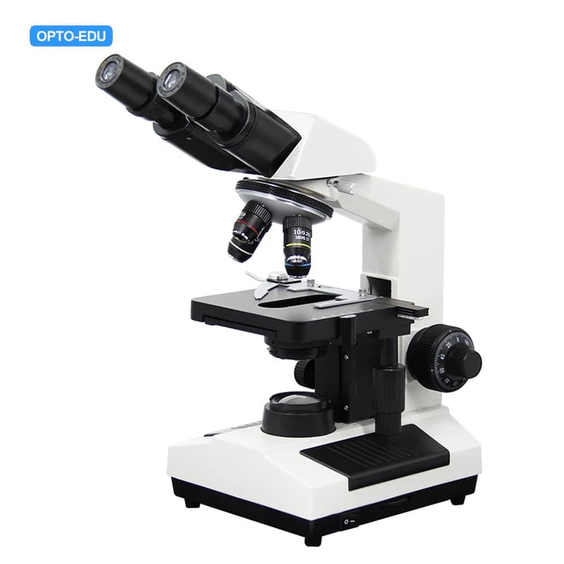 OPTO-EDU A11.1007-27W Prezzo Microscopio binoculare ottico biologico composto per l'educazione degli studenti