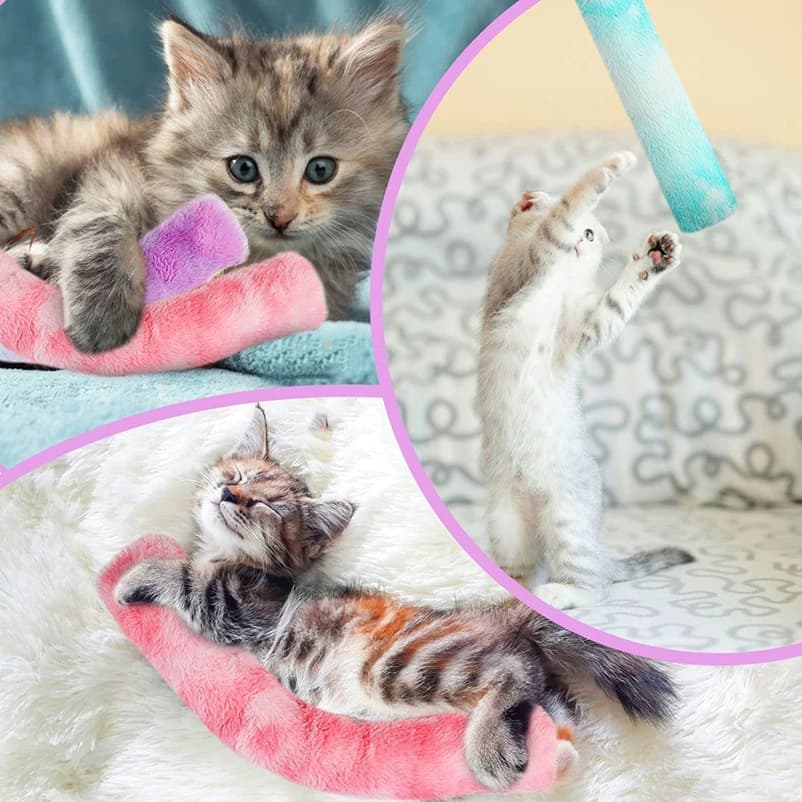 Cuscino in peluche sfumato con erba gatta, morbido e resistente, per la pulizia dei denti e il gioco interattivo da interno