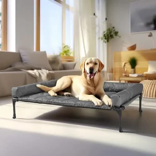 Cuccia rialzata rinfrescante Veehoo con cuscino rimovibile impermeabile, lettino per animali domestici rialzato con rete traspirante in Teslin, antiscivolo