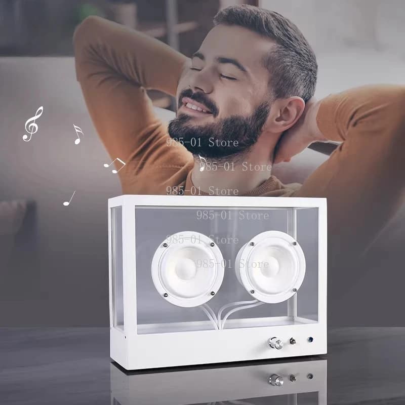 Sistema Audio Vintage Creativo ad Alta Estetica, Subwoofer Trasparente in Stile Nordico, Altoparlante Bluetooth per Arredamento Soggiorno