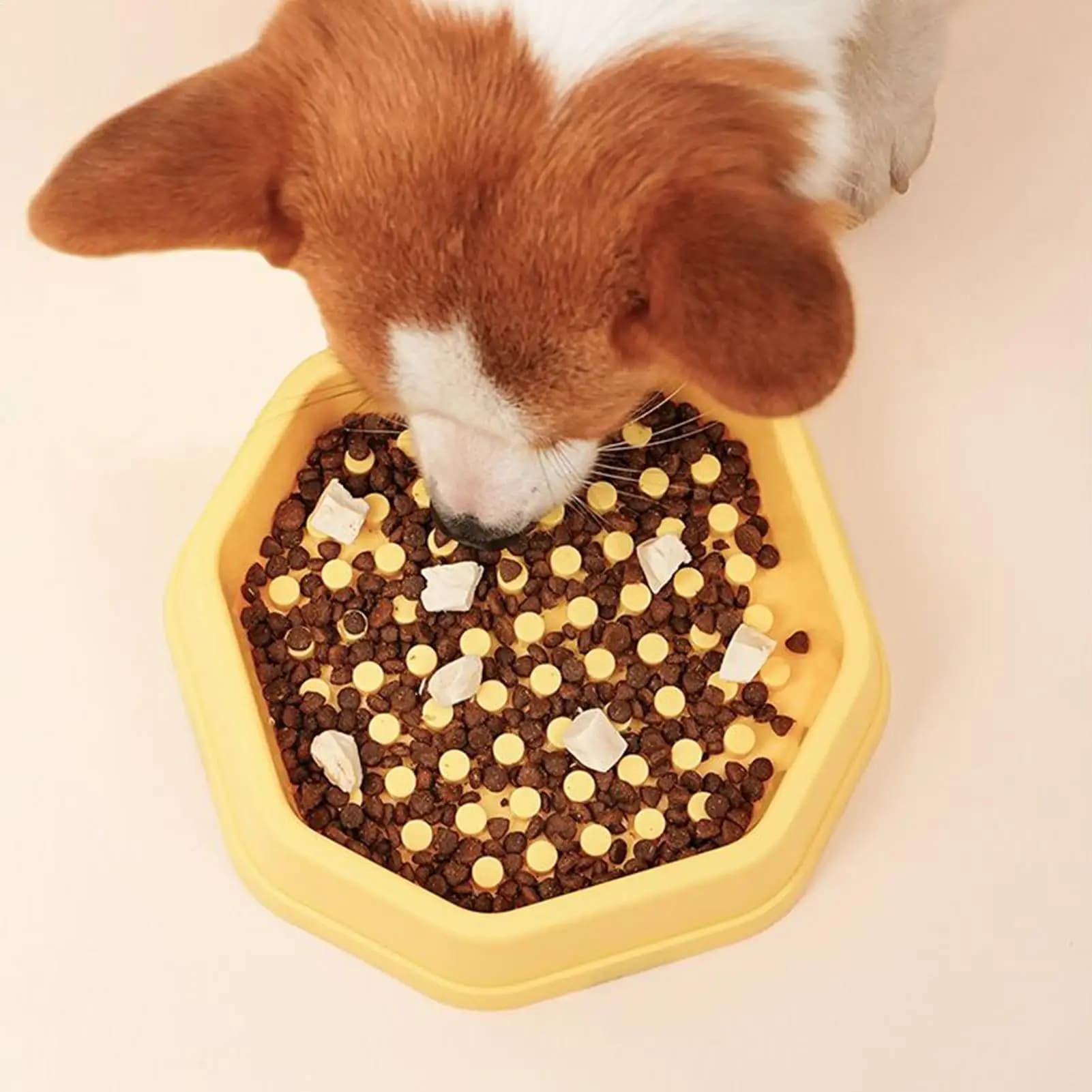 Ciotola per cibo per cani Alimentatore lento Ciotola anti-soffocamento Alimentatore Piatti per animali domestici Per cani Cucciolo di animale domestico Gatto Alimentazione d'acqua Mangiare Piccolo Grande