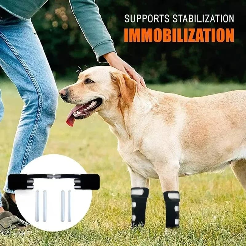 ‌ Supporto per ginocchio per cani da compagnia Tutore per gambe Strisce riflettenti Protezione per le articolazioni Animali domestici attivi per anziani Comodi protezioni per le gambe Camminate Corsa