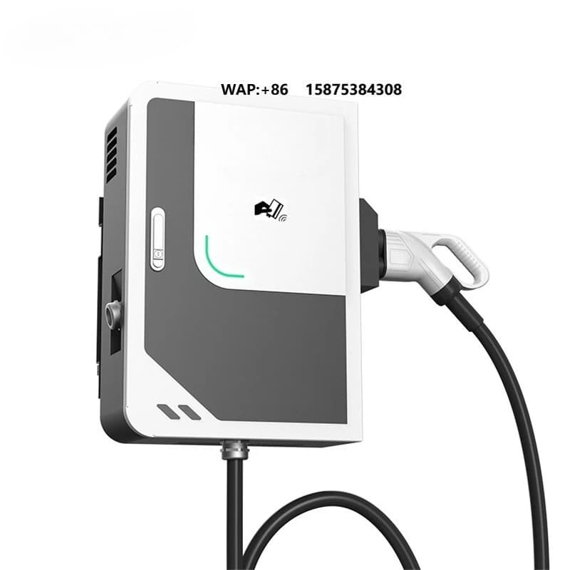 Stazione di Ricarica Rapida DC EV 40KW Personalizzata per Veicoli Elettrici con Uscita AC DC 32A Super Veloce