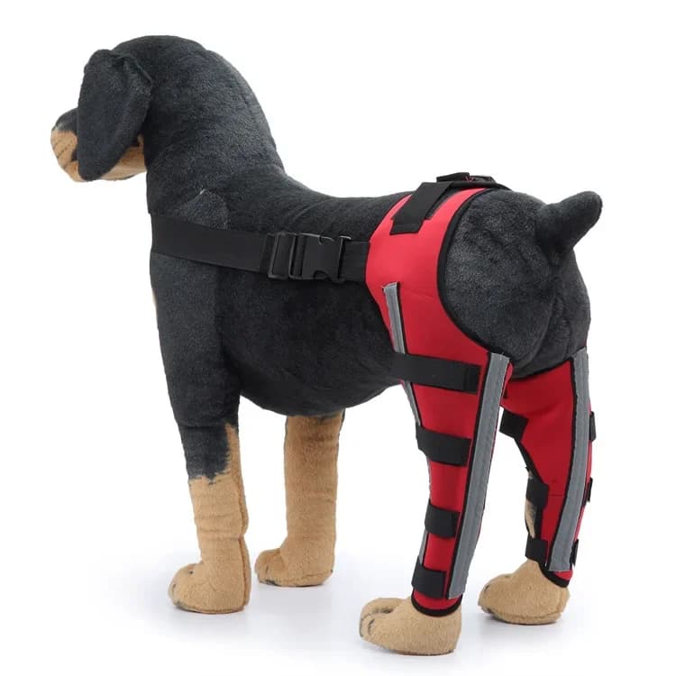 Ginocchiere per cani Supporto flessibile per cani con cerniera in metallo e cinture di sicurezza riflettenti Bretelle per gambe per cani con ginocchio per artrite