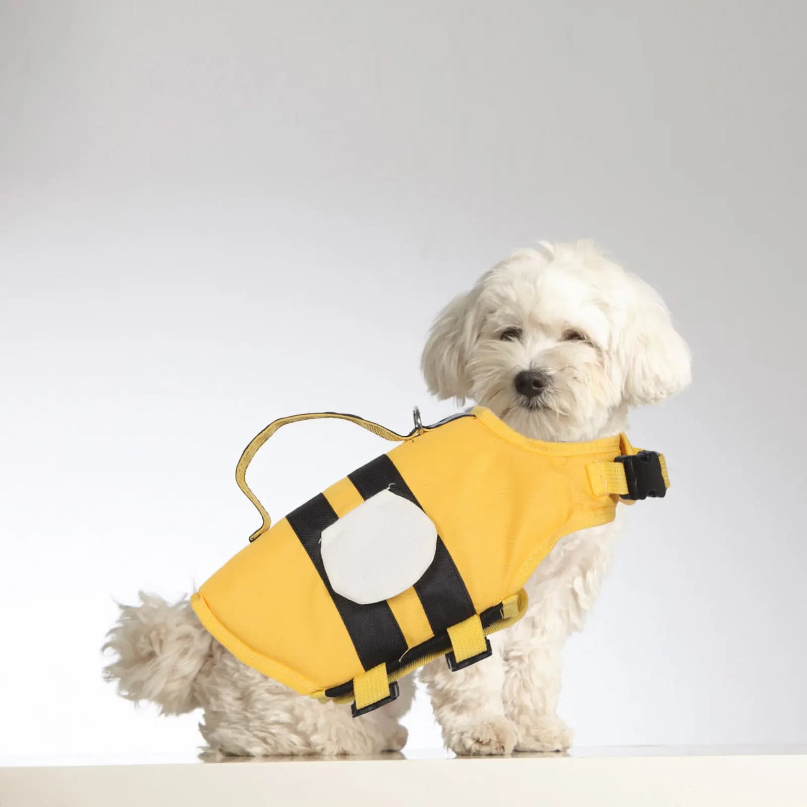 Giubbotto Salvagente per Cani Leggero con Maniglia Superiore, Galleggiamento Migliorato, Giubbotto da Nuoto per Cuccioli, Attrezzatura di Sicurezza in Acqua