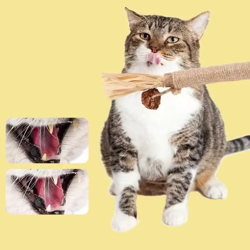 NUOVO 1/2 PEZZI Giocattoli per Gatti in Legno, Bastoncini per la Dentizione in Galla di Insetti, Corda di Rafia e Sisal, Giocattoli per la Pulizia dei Denti, Bastoncini per Giocare con il Gatto