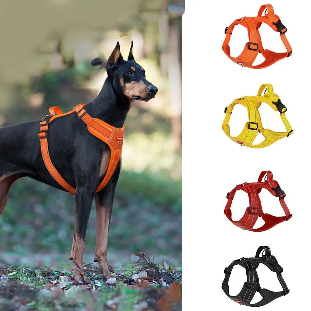 Pettorina Traspirante per Cani con Chiusura Rapida, Gilet Antiesplosione, Riflettente e Regolabile, Guinzaglio per Cani Piccoli/Grandi