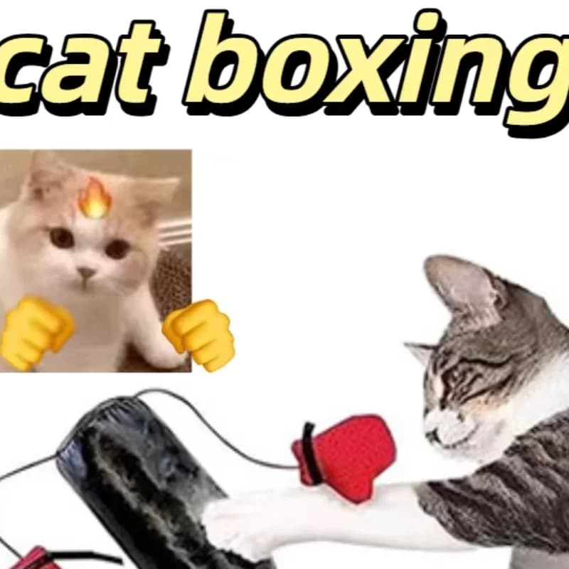 New cartoon cat boxing toy kitten for adult cats indoor interactive toys for indoor cats with boxing gloves supplies for pets