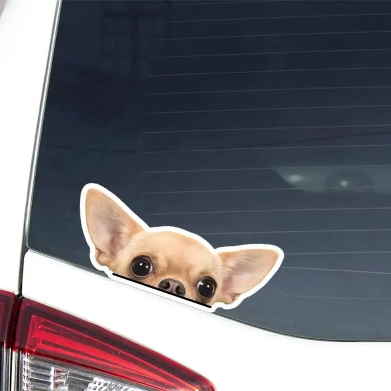 Peeking Chihuahua Adesivo per auto Crema realistica Chihuahua Testa di cane Vinile Impermeabile per esterni Paraurti rimovibile Finestra Laptop