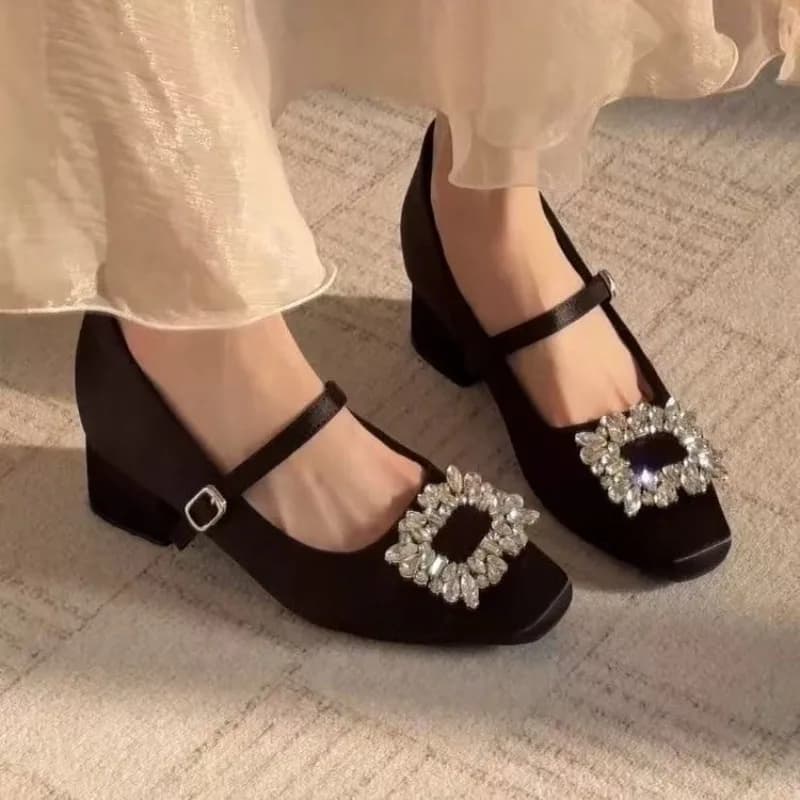 French Square Toe Mary Jane Shoes Women's Spring and Autumn New Block Heel Single Shoes