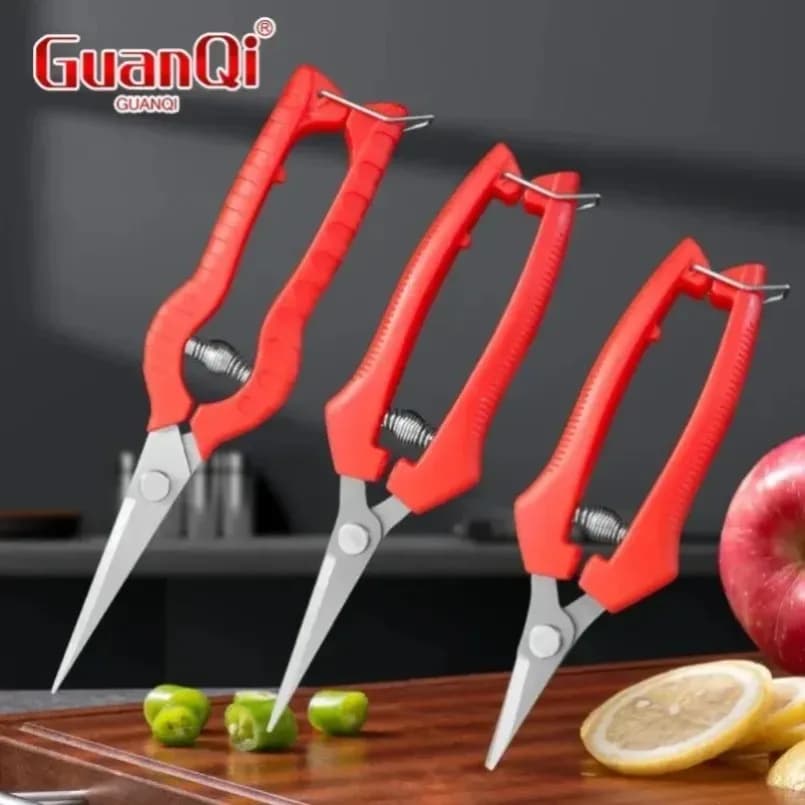 harp Stainless Steel Pruning Branch Scissors Small Trimming Non Slip Handle Garden Fruit Tree for Orchard Farm Gardening STools