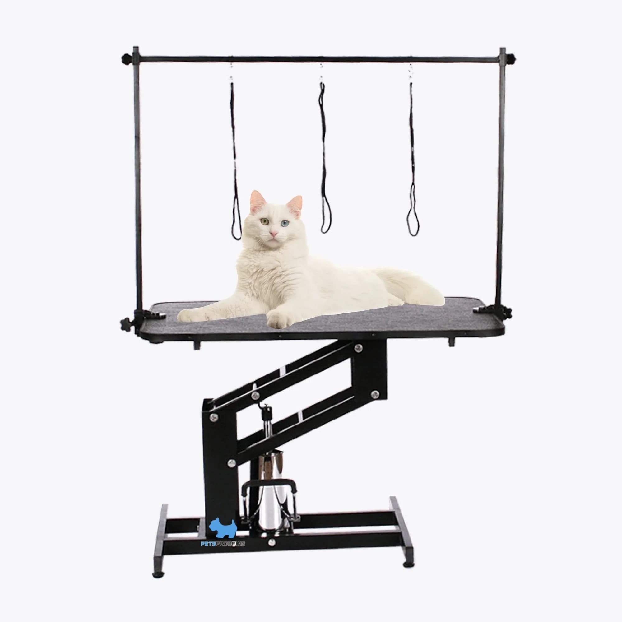 Petsproofing Ebay Professionale Pieghevole Comfort Tavolo per toelettatura per cani con sollevamento regolabile in altezza in acciaio inossidabile in vendita