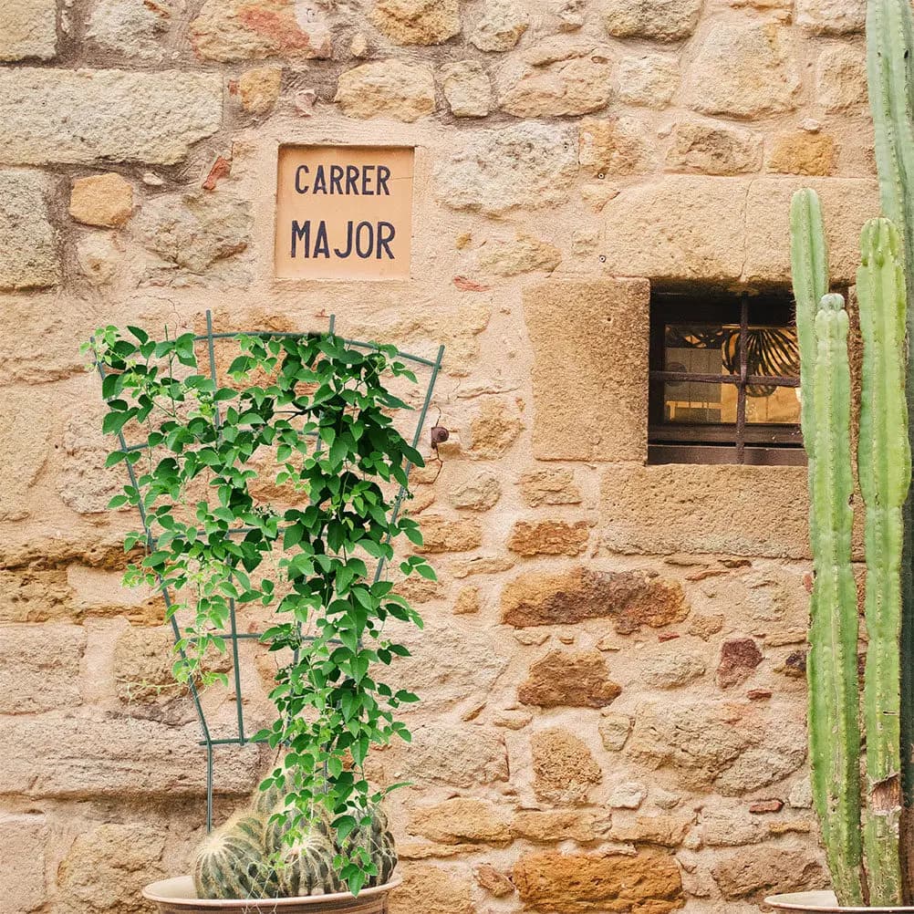 3Pcs Metal Plant Trellis for Climbing Plants Outdoor Indoor Small Potted Plants Support Garden Decor Vine Tomato Cucumber Pea
