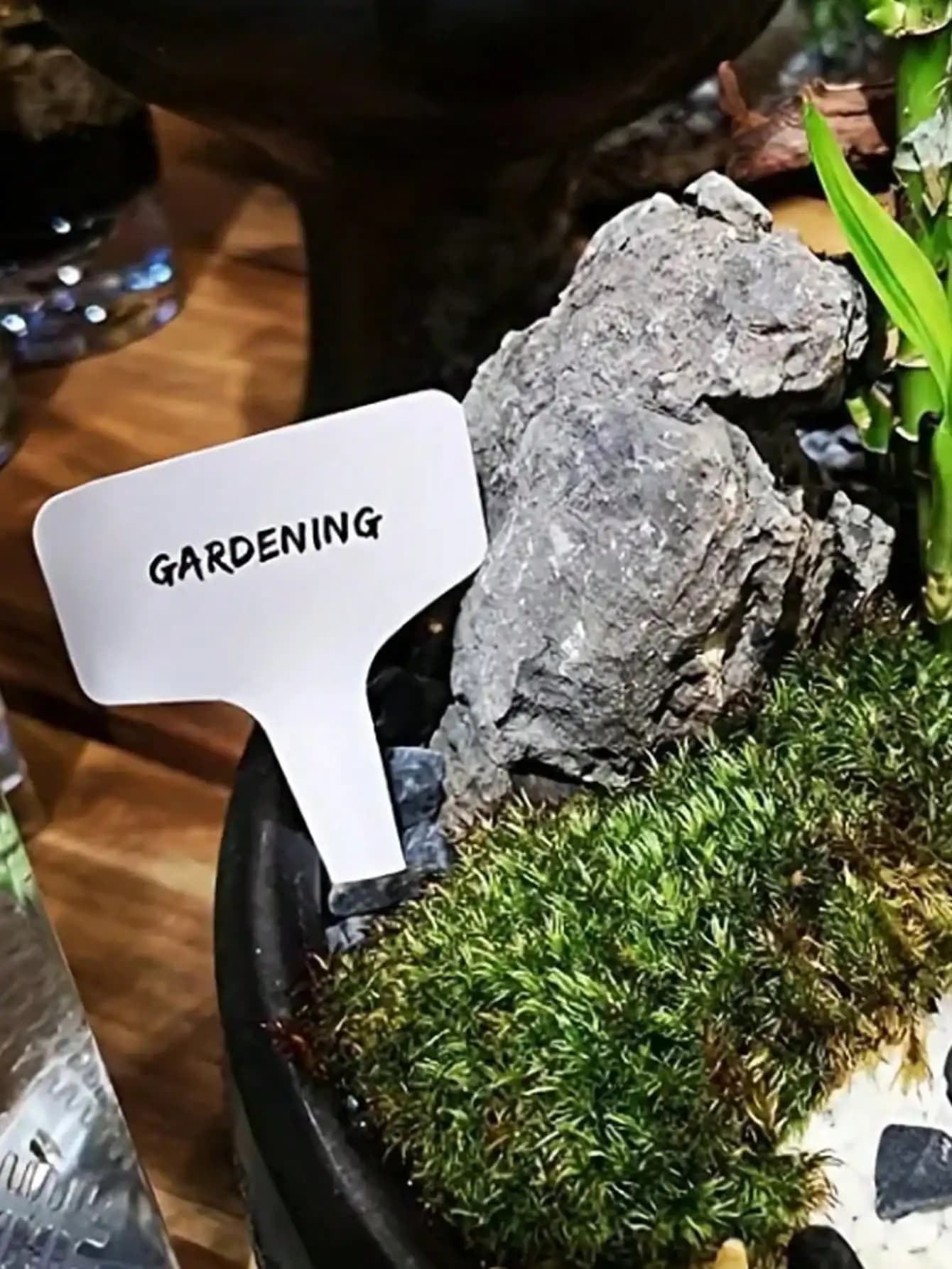 100 etichette per piante, etichette da giardino, etichette impermeabili, etichette per vasi di piantine, etichette a forma di T ispessite, etichette impermeabili e riutilizzabili