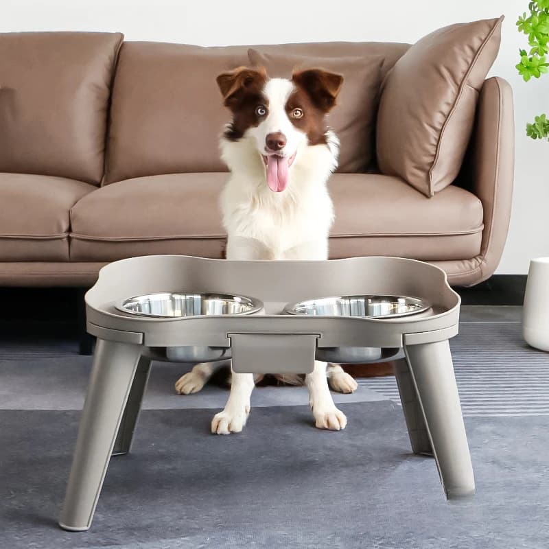Supemoto ciotola per cani/gatti rialzata ciotola per animali domestici in acciaio inossidabile forniture per alimenti bacino