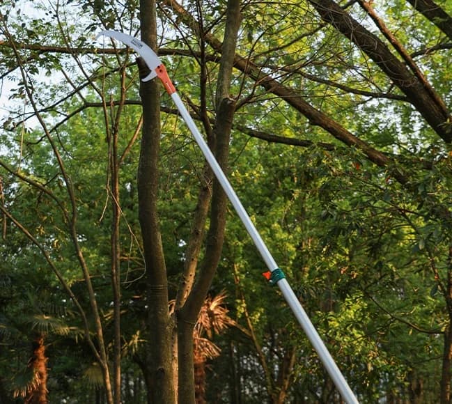 Cesoie for branches telescopic shears hand saw garden saw for branches high pruning of artifacts for fruit trees saw for pruning