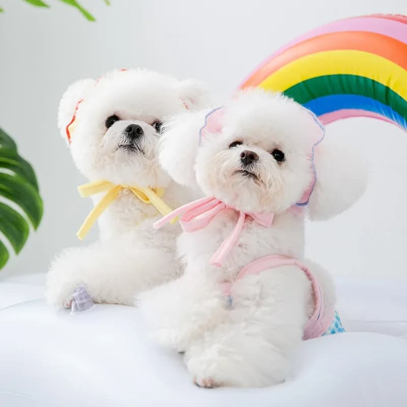 50% discount promotion summer Pet swimsuit Cat Transformationfit swim head skirt for dogs Bikini Dog Vest swimsuit for puppies