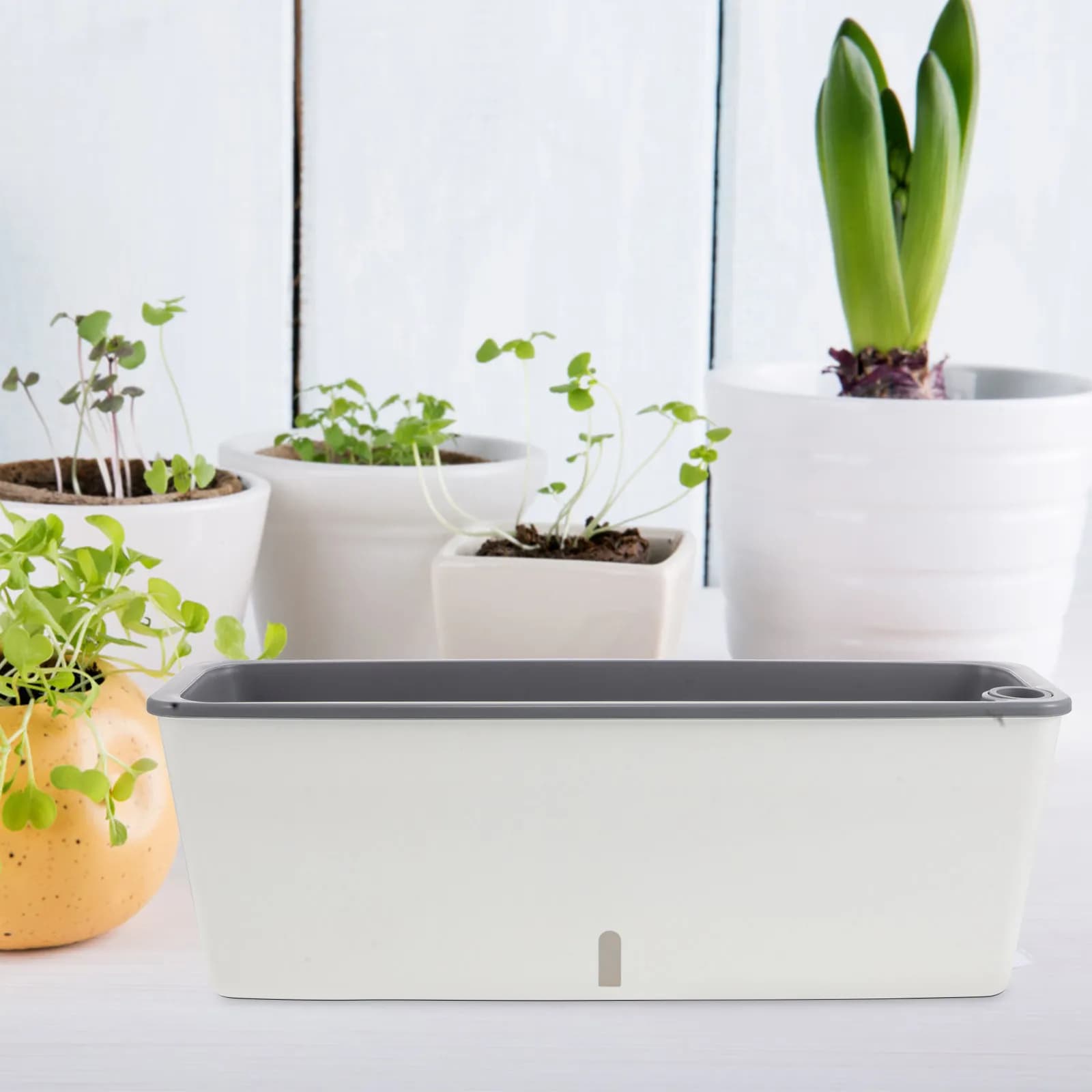 Plastic Window Box Planter Rectangular Plant Pot with Water Reservoir for Vegetable Herb Balcony Gardening Plastic Planter Box