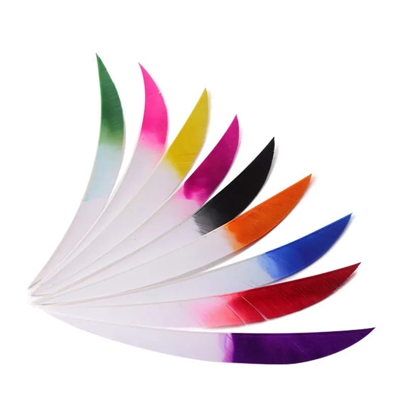 50pcs Archery 5 Inch Turkey Feather Arrow Fletching Right Wing Fletches Vanes DIY Target Hunting Shooting Arrow Accessories