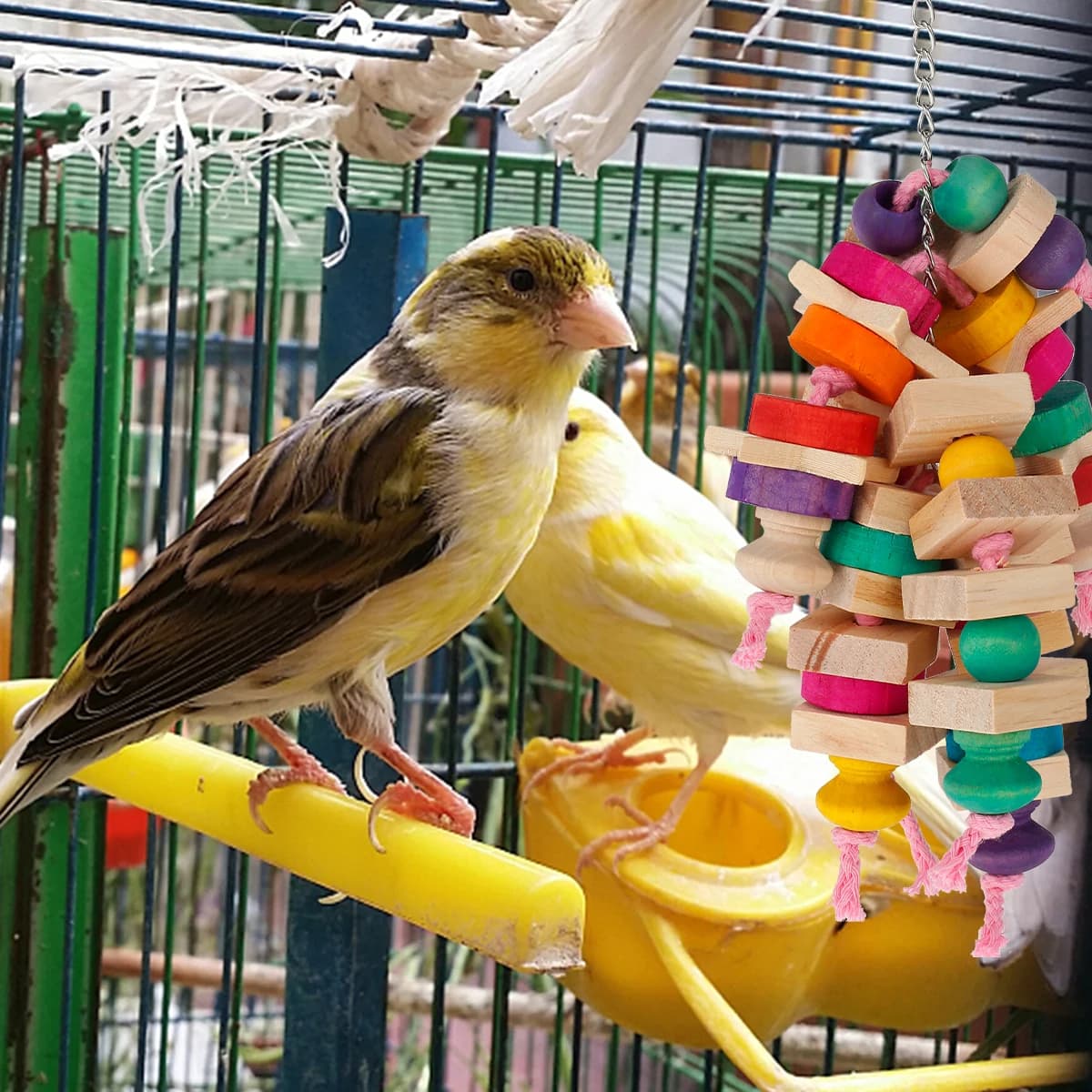 Giocattoli in Legno per Pappagalli, Giochi da Masticare da Appendere alla Gabbia, Blocchi Multicolore per Foraggiamento di Uccelli, Pappagalli, Parrocchetti, Prodotto per Animali Domestici