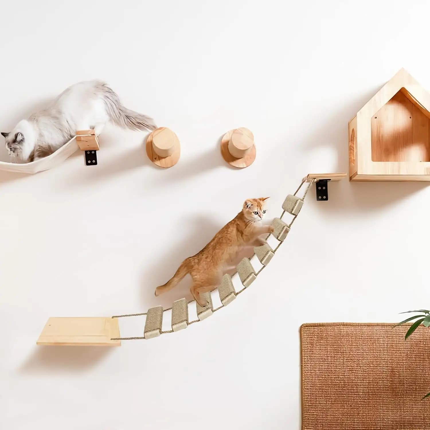 Tiragraffi da Parete per Gatti in Legno e Sisal, Struttura Rampicante, Ponte per Gatti, Gradini in Corda, Scala per Gattini, Palo da Parete per Gatti