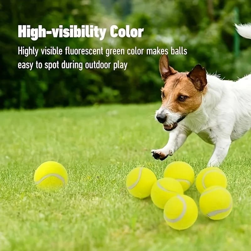 Palline da Tennis Interattive per Cani - Palline in Gomma ad Alto Rimbalzo da 2,4' per Razze Piccole e Medie, Senza Batteria