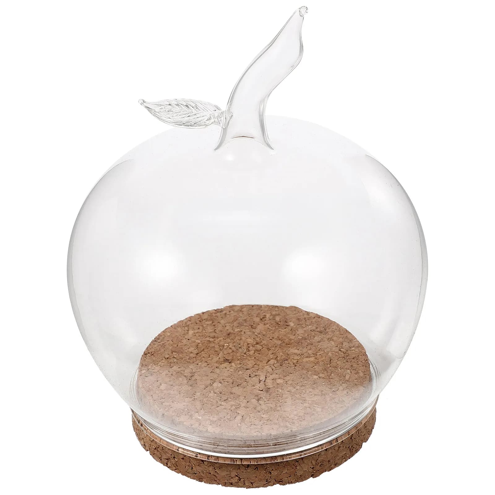 Cupola di Vetro con Fiori Preservati e Base in Legno, Espositore per Micro Paesaggi e Piante Artificiali