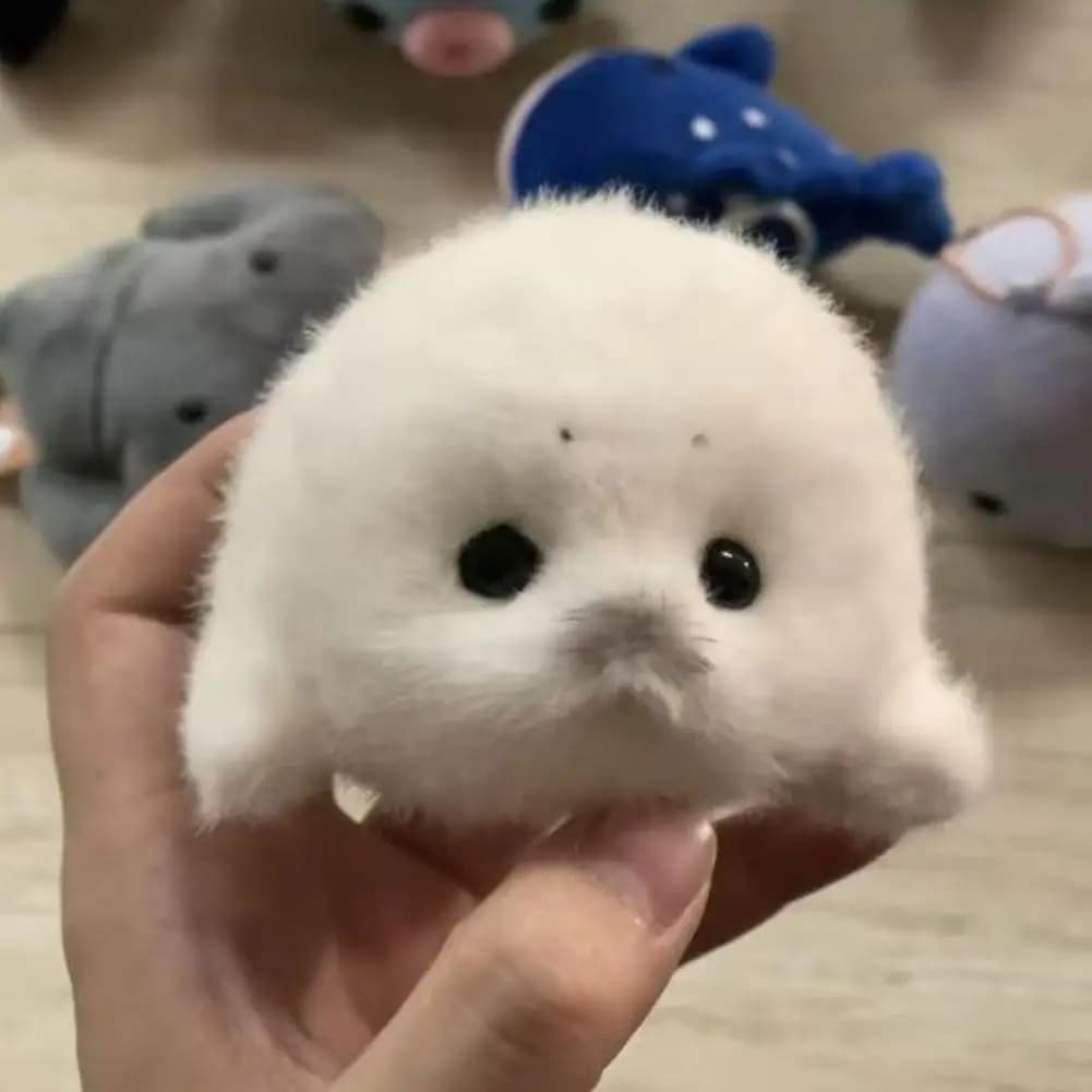 Plush Foca Shape Keychain Carin, Soft and Soft, Kawaii Portable Antistress Toy, Children's Gift and Adults