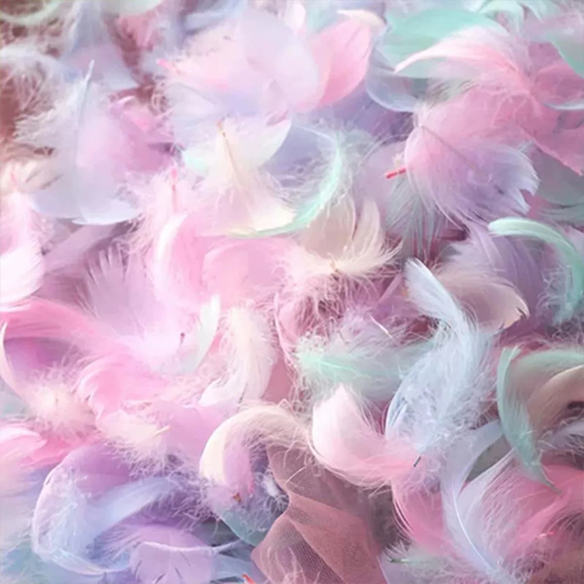 Piume colorate da 100/500 pezzi, adatte per riempimenti di confezioni regalo, artigianato fai-da-te, decorazioni per feste di matrimonio
