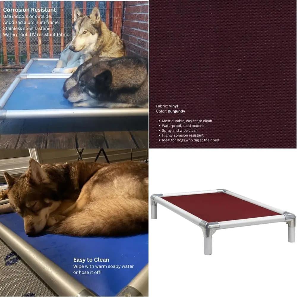 Cuccia rialzata per cani in vinile argentato resistente 30x20 pollici - Bury