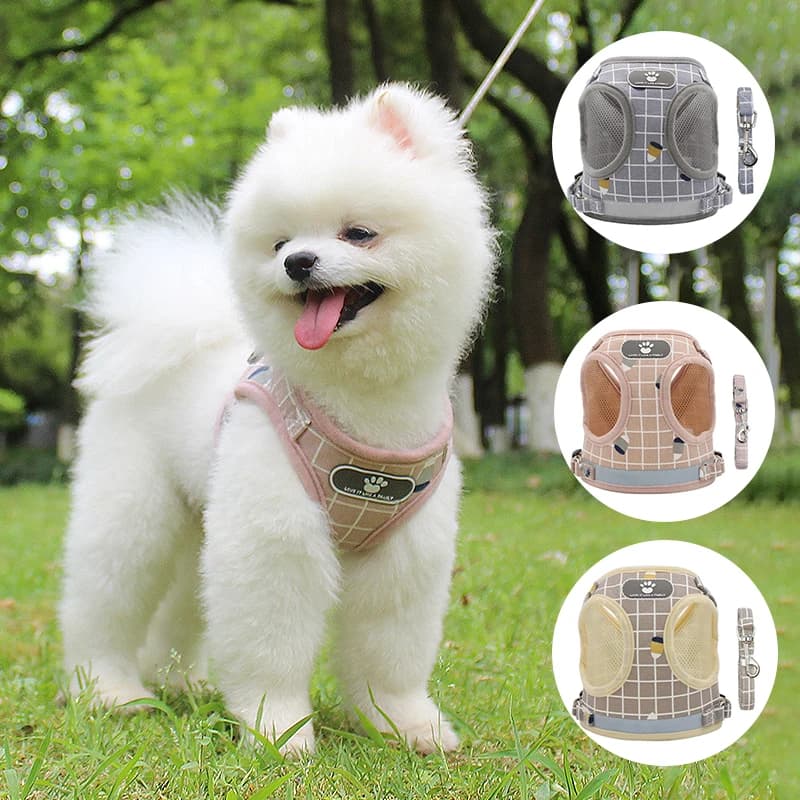 Gilet per cani scozzese alla moda traspirante Imbracatura per il petto Comodo set di guinzagli per cani riflettenti in rete Accessori per cuccioli di gattino