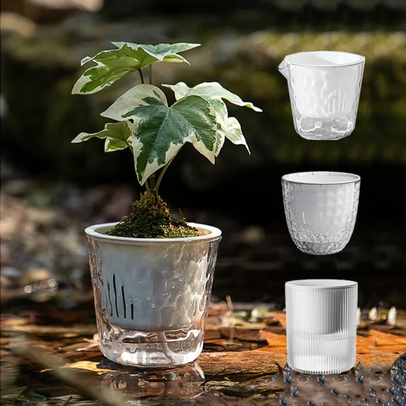 Transparent Self Watering Flowerpot Double Layer Plastic Automatic Water Absorbing Planter Decorative Plant Pot for Plant Flower