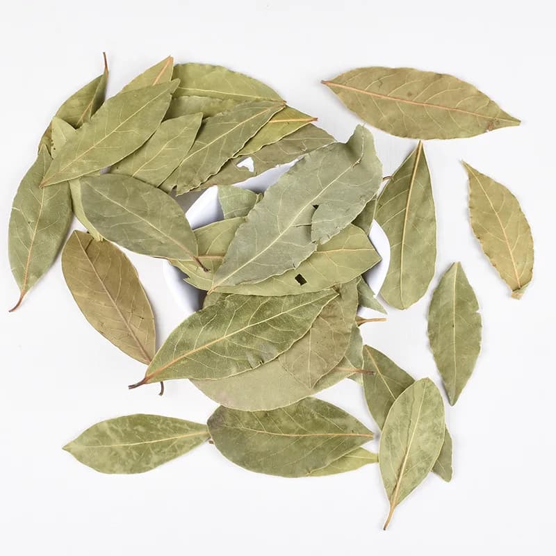Pure Natural First-Class Dry Laurel Leaves Essential Home Kitchen Spices Herbs Fragrant Bay Leaves for Various Seasonings
