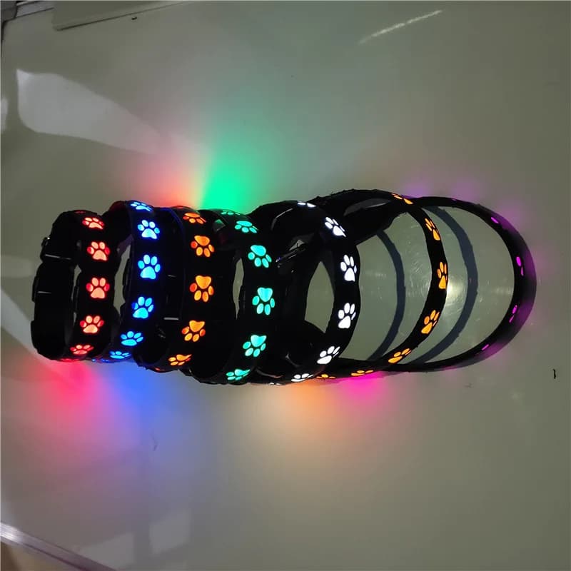 Collare per cani luminoso per camminare, forniture per animali domestici, collare per cani di ricarica, anello per il collo, sciarpa colorata