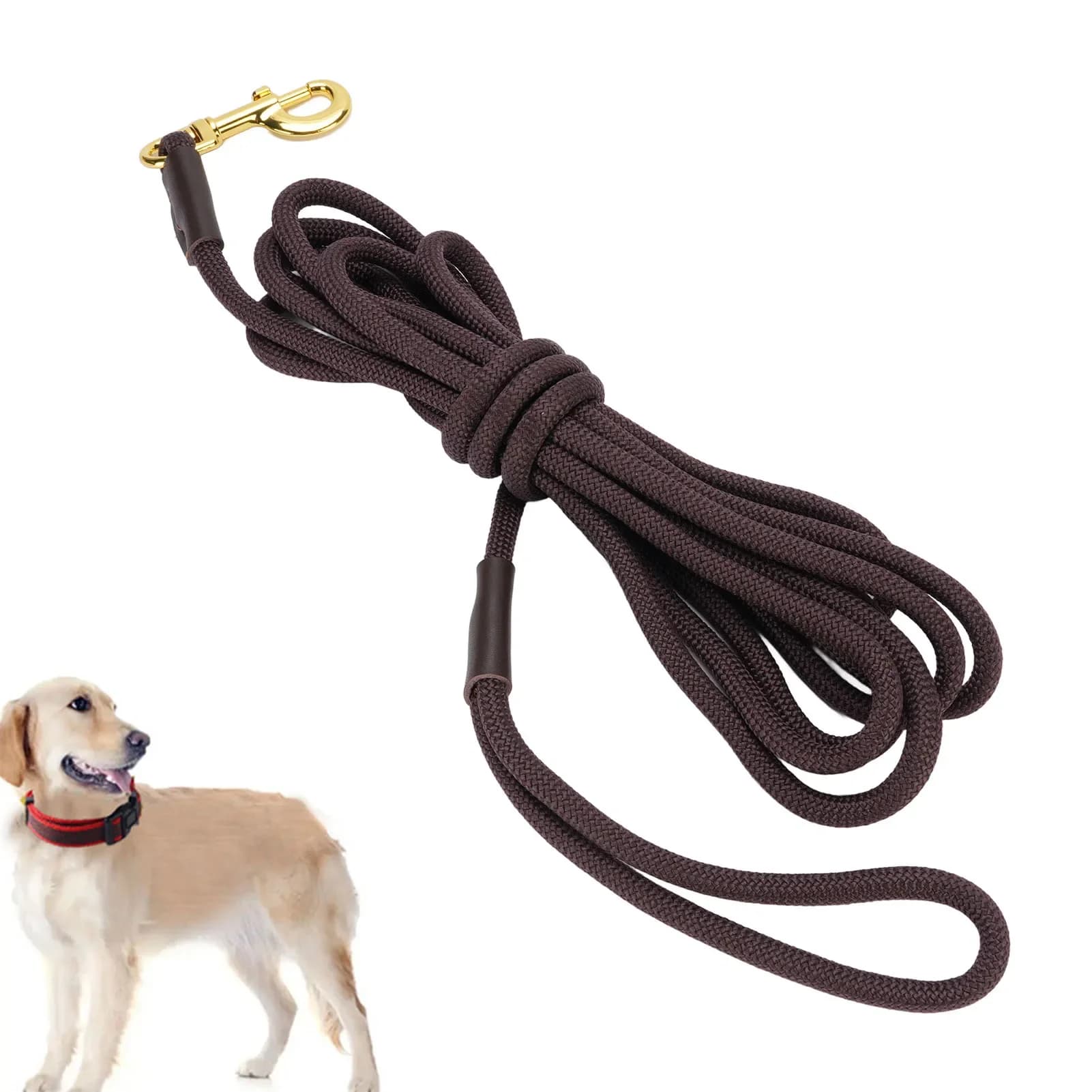 Guinzaglio per cani da 5 m Guinzaglio per cani resistente in nylon per animali domestici Lunghezza estesa Forte forza di trazione Manico antiscivolo per passeggiate all'aperto