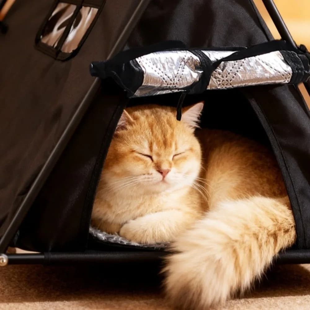 Tenda per animali da esterno portatile minimalista Tenda per cani pieghevole con isolamento caldo Oxford rimovibile per gatti Feral Shelter estivo all'aperto