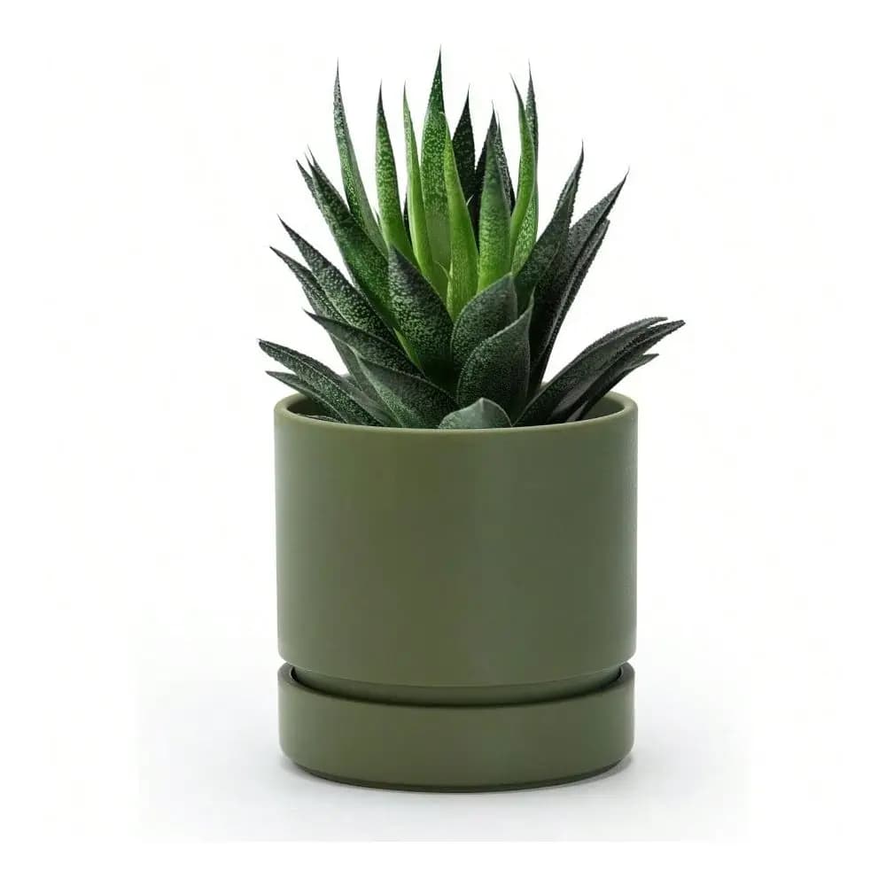 Vaso da fiori da 4 pollici con foro di drenaggio e sottovaso, vassoio raccogliacqua profondo, vaso cilindrico rotondo dritto per piante, confezione da 1 (per ulivi)
