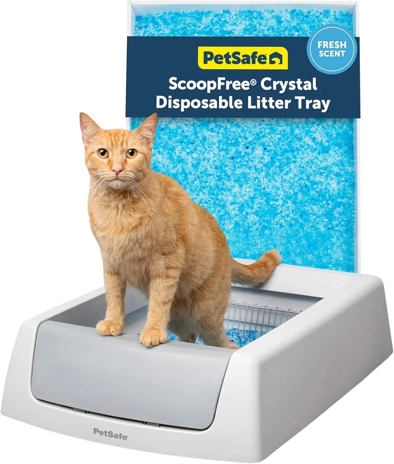 ScoopFree Crystal Classic Self-Cleaning Litter Box System – Automatic Cat Litter Box - Advanced Odor Control – Includes Disposab