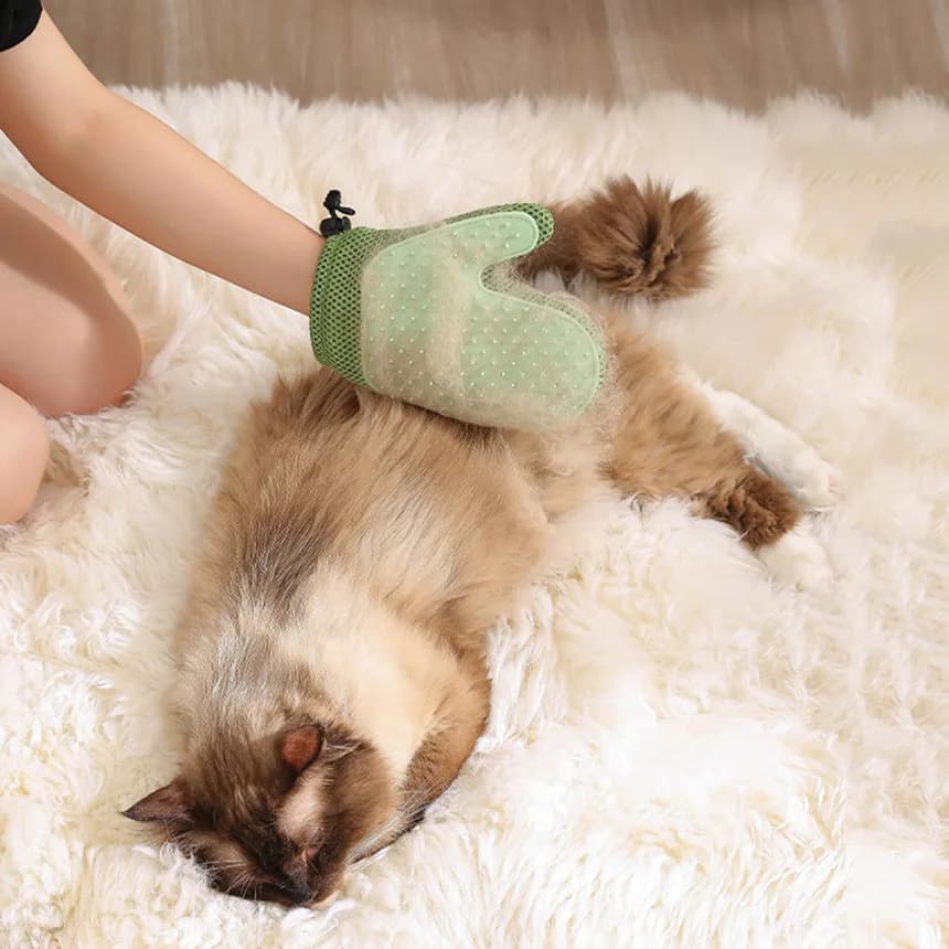 Guanti da toelettatura per gatti spargimento di cani da bagno spazzola per capelli pettine per capelli in Silicone per accessori Pet