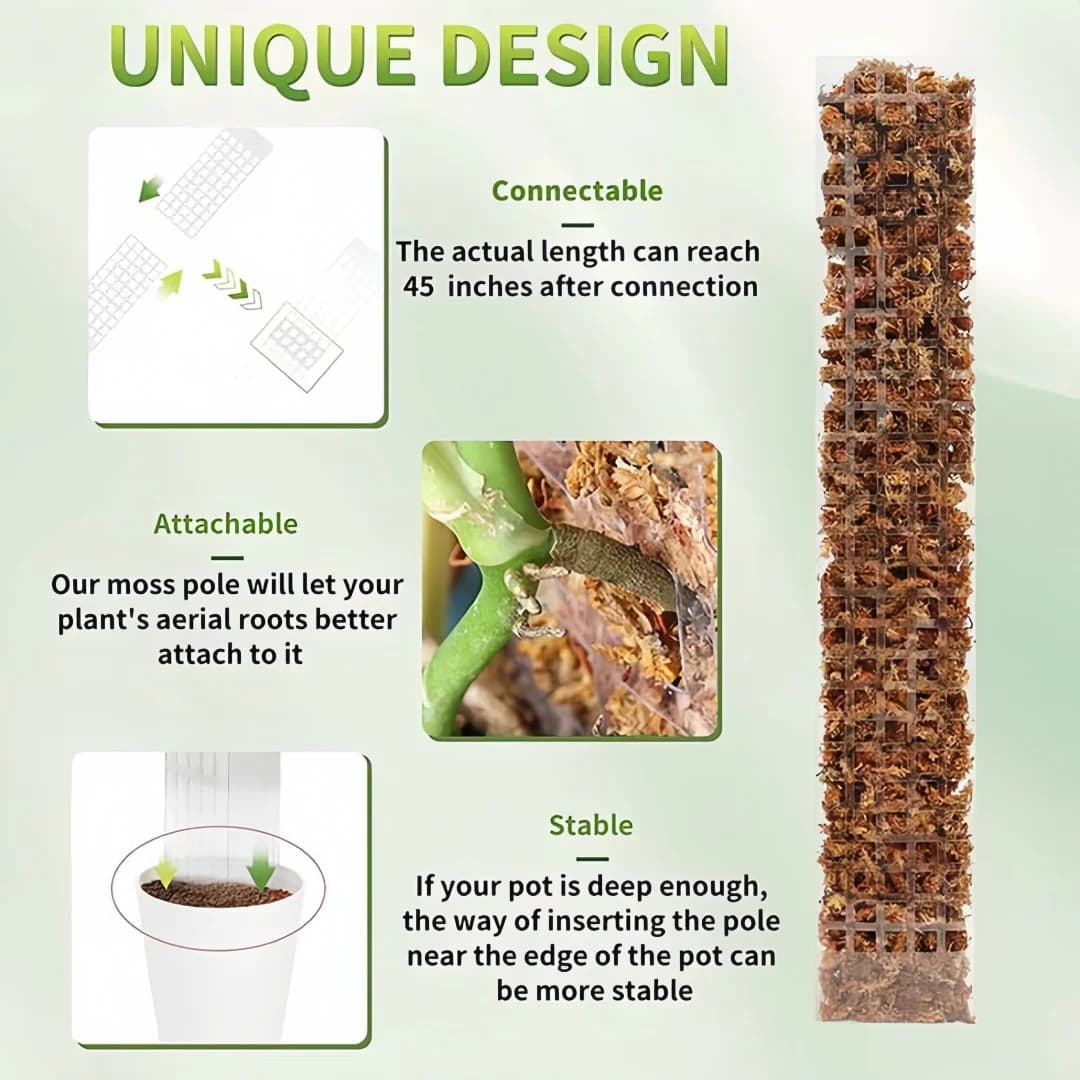 Supporto per piante rampicanti da interno in plastica, tutori per piante rampicanti, bastoncini di muschio per la crescita delle piante, accessori di supporto per il giardino