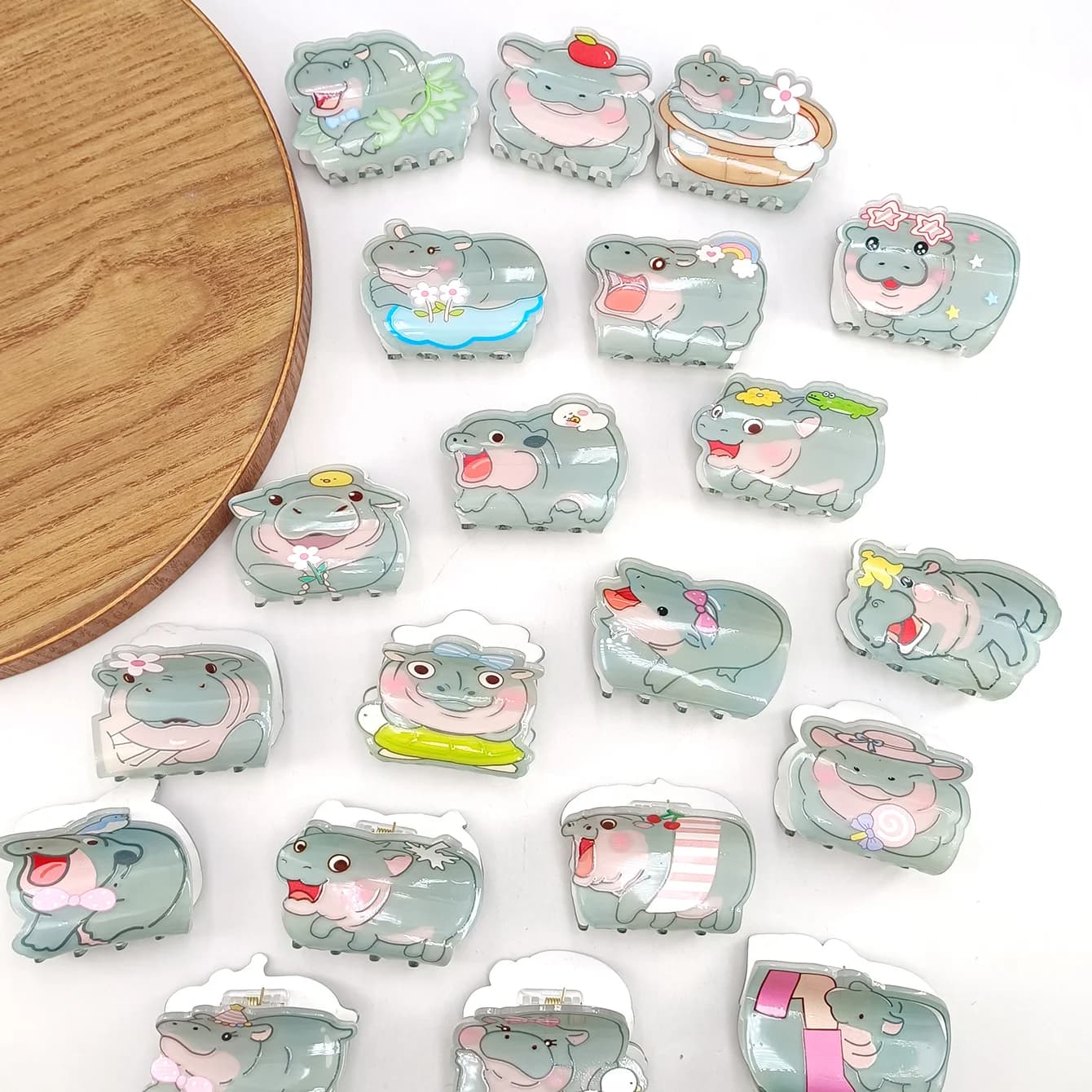 Carino Miss Ippopotamo Artiglio per capelli Fiore Acrilico Piccolo squalo Clip Set Copricapo Geometria Cartoon Capibara Fermaglio per capelli per ragazze