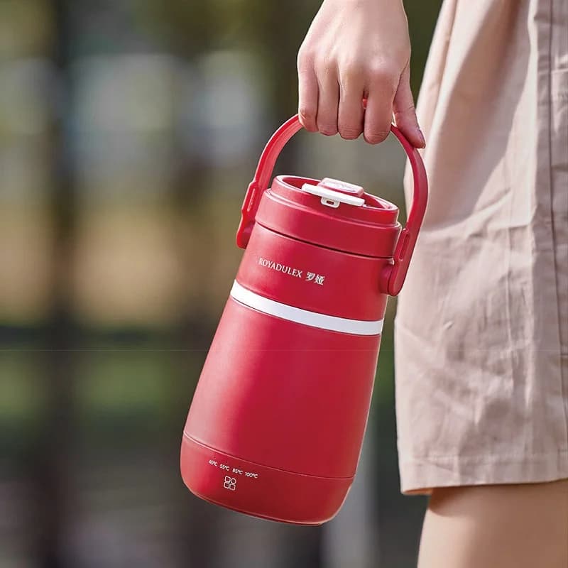 500W Electric Kettle Portable Electric Hot Cup Office 304 Stainless Steel Temperature Control Boiling Kettle Teapot 600ml