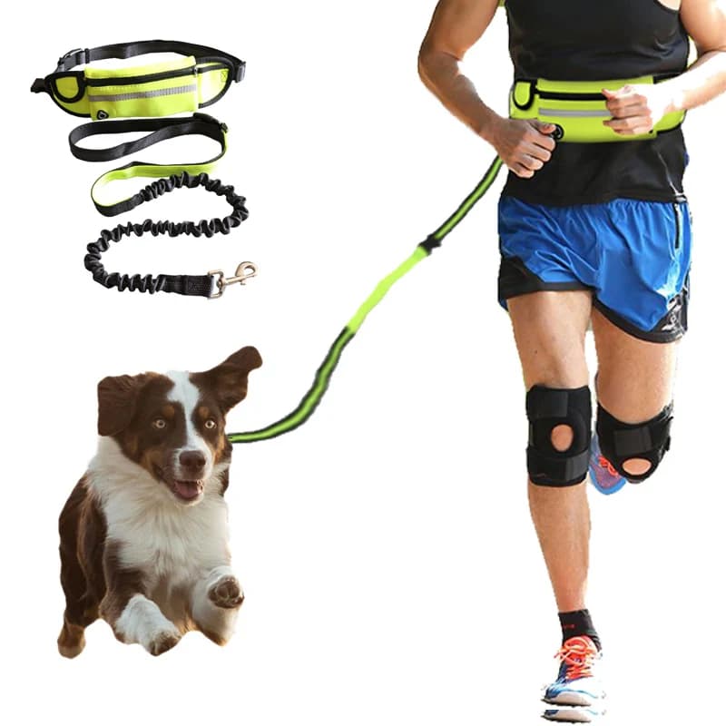 Marsupio Exercise Belt Elastic Belt for Dogs Company Set of Traction Cords for Running Dog Racing Wheelchair for Animals Traction Cord Collar Pet Accessories